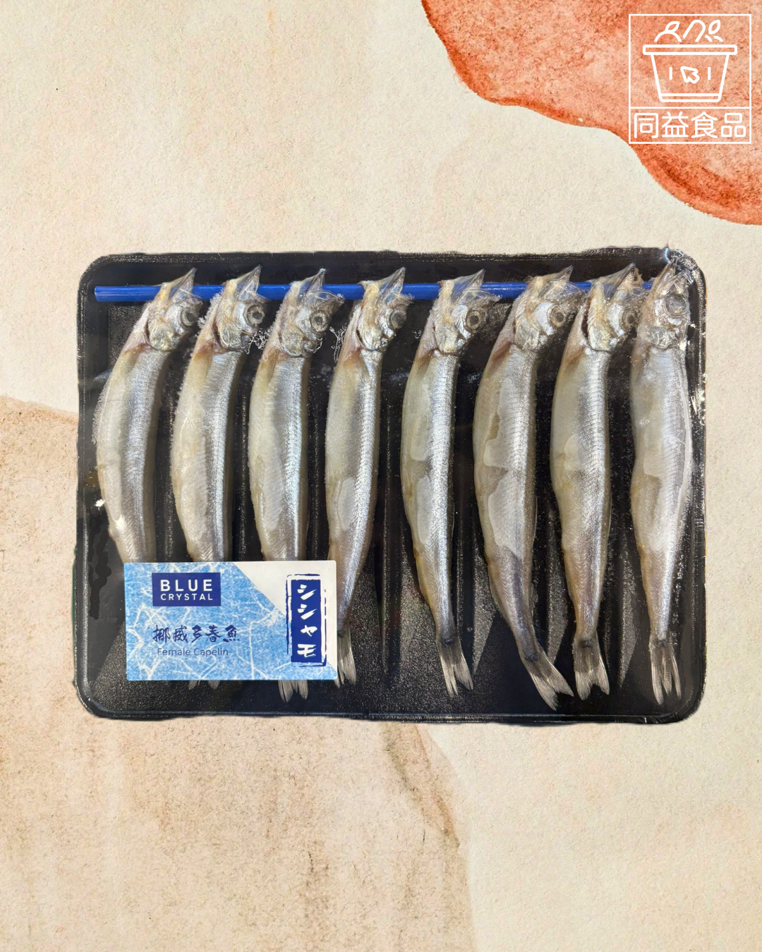 capelin