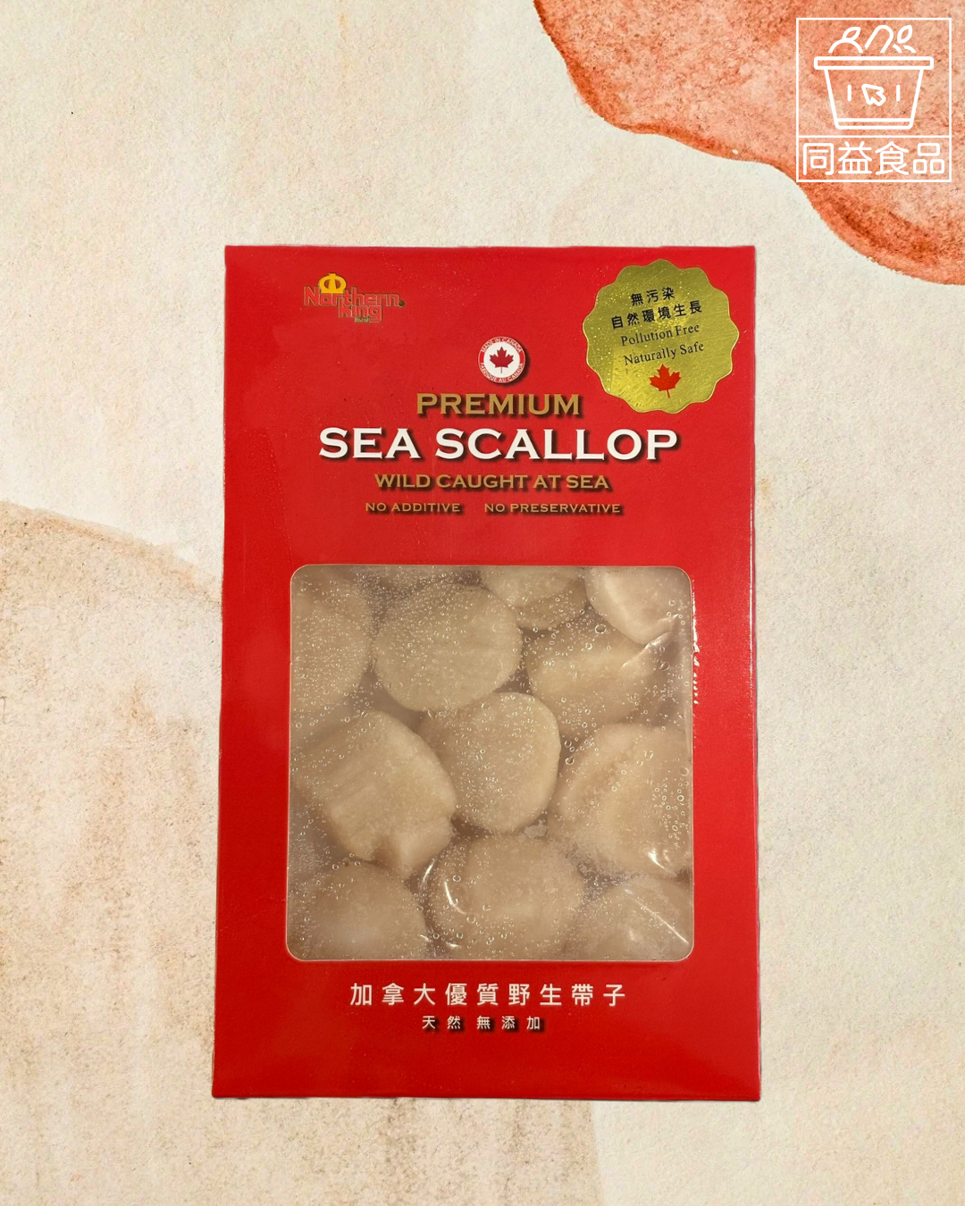 Canadian Wild Treasure Scallop XL