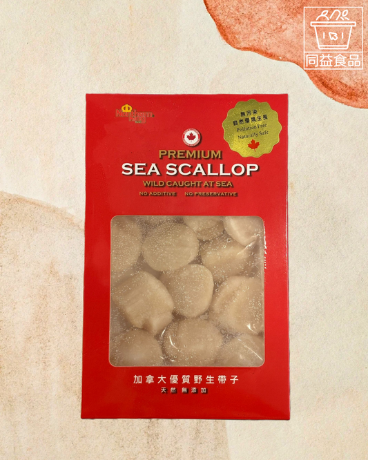 Canadian Wild Treasure Scallop XL
