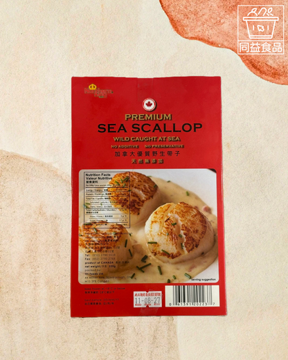 Canadian Wild Treasure Scallop XL