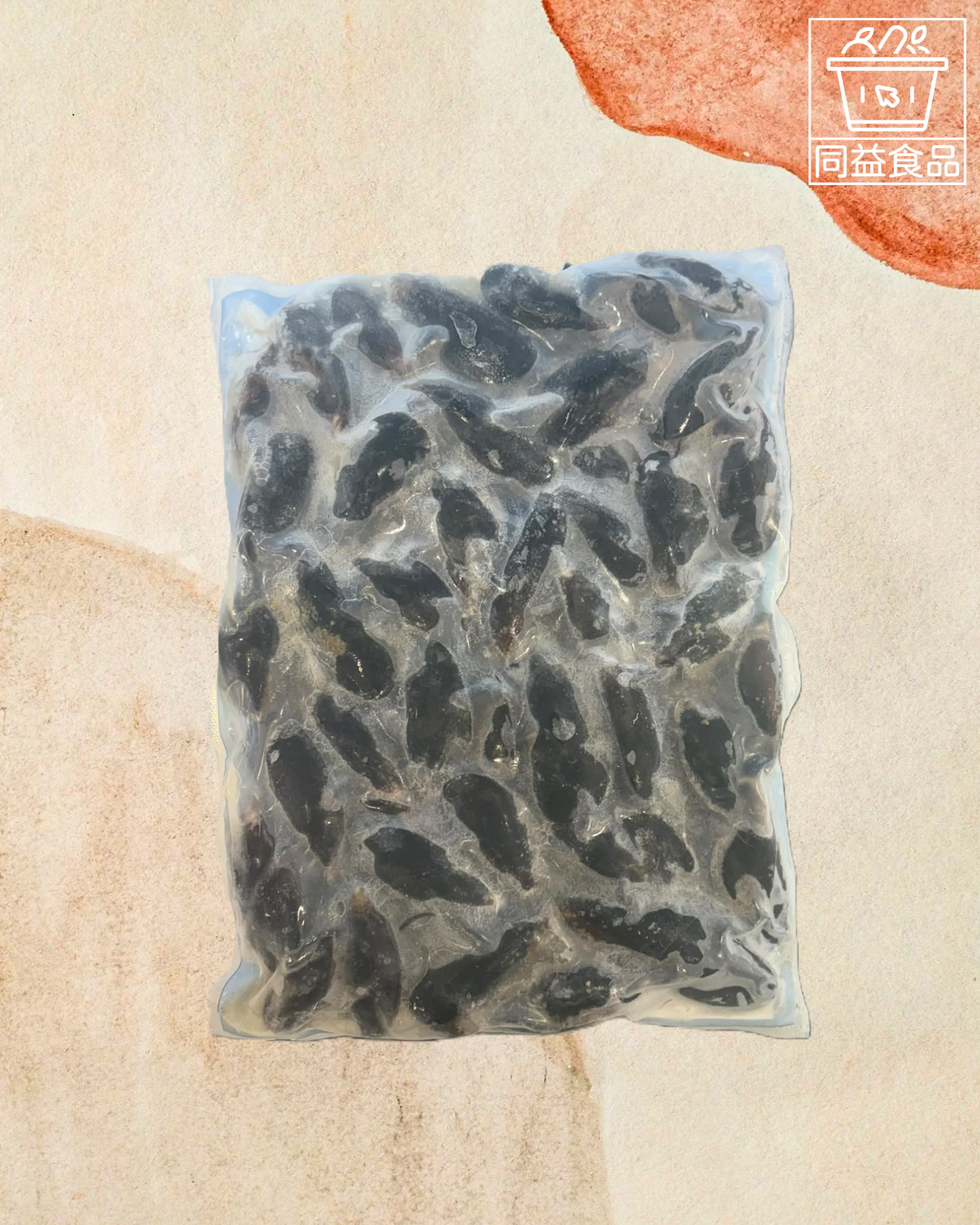 Cooked blue mussels in shell 50/70