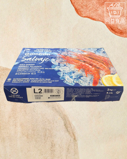 Argentinian red shrimp sashimi L1